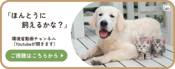 環境省動画チャンネル「ほんとうに飼えるかな？」YouTubeが開きます