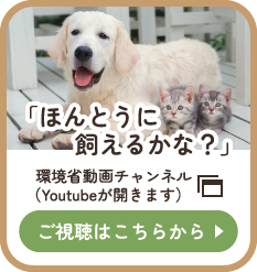 環境省動画チャンネル「ほんとうに飼えるかな？」YouTubeが開きます